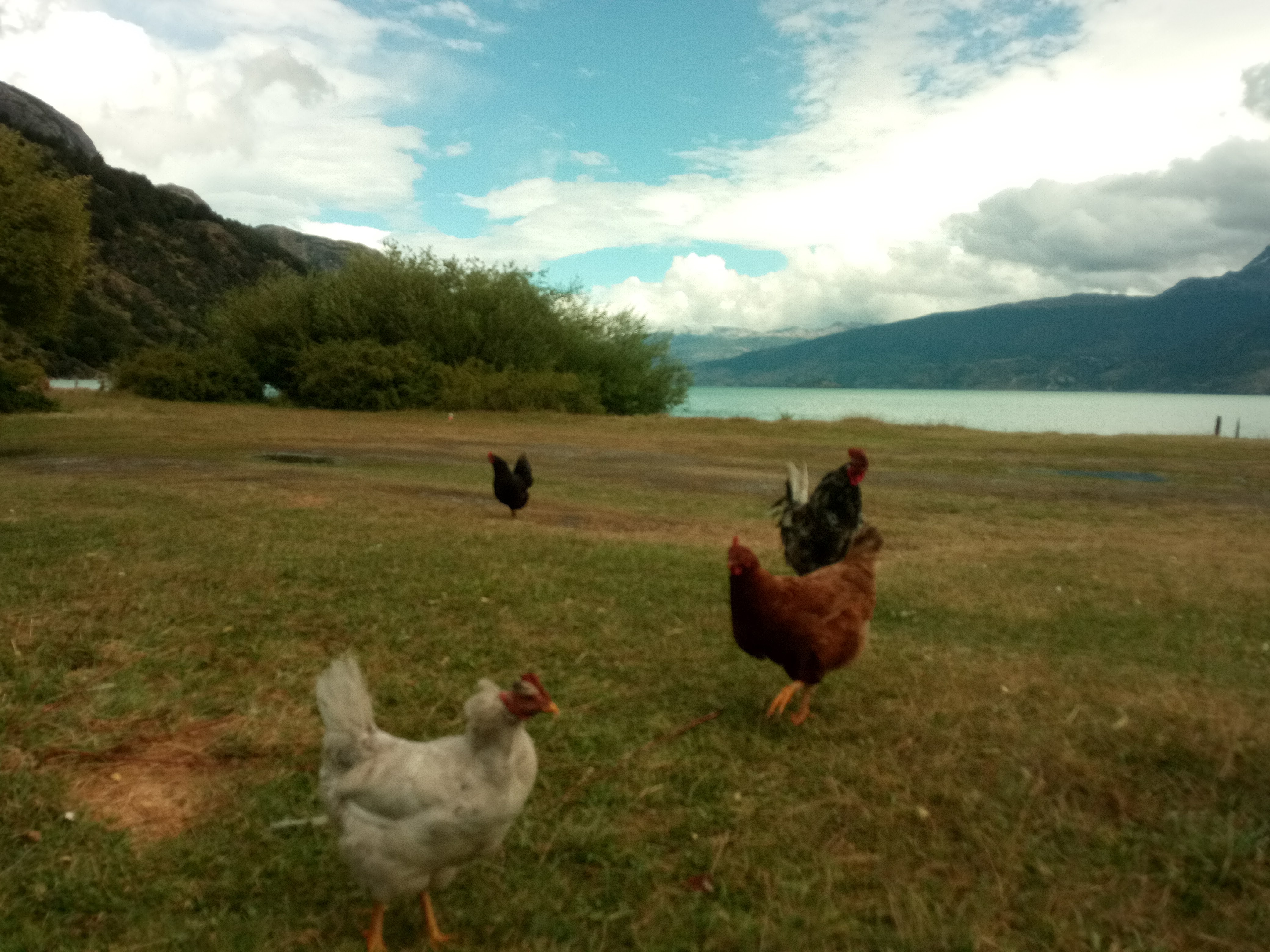 Bahia Murta con Nébula